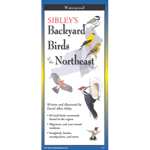 Sibley’s Backyard Birds of the Northeast, Folding Guide