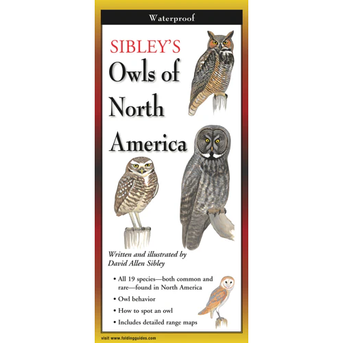 Sibley’s Owls of North America, Folding Guide