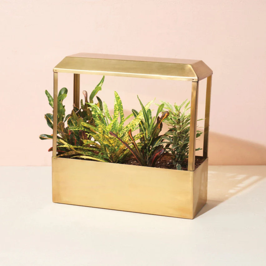 Smart Growhouse - Brass