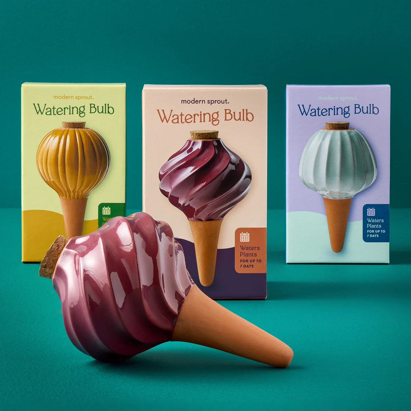 Terracotta Watering Bulb - 3 colors