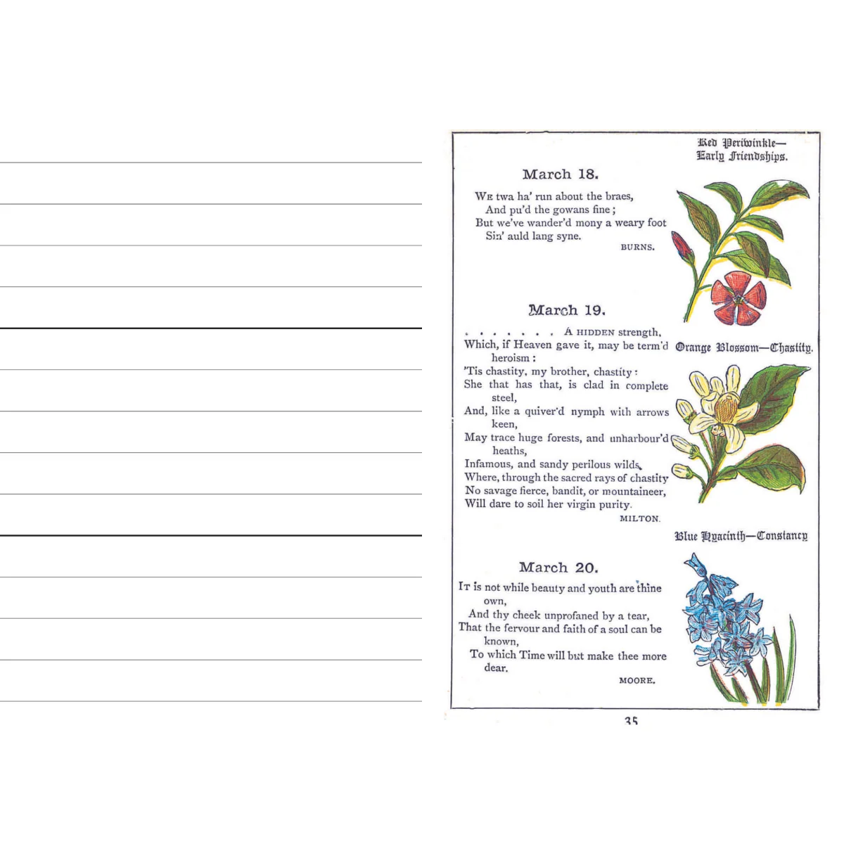The Floral Birthday Book - Image 6