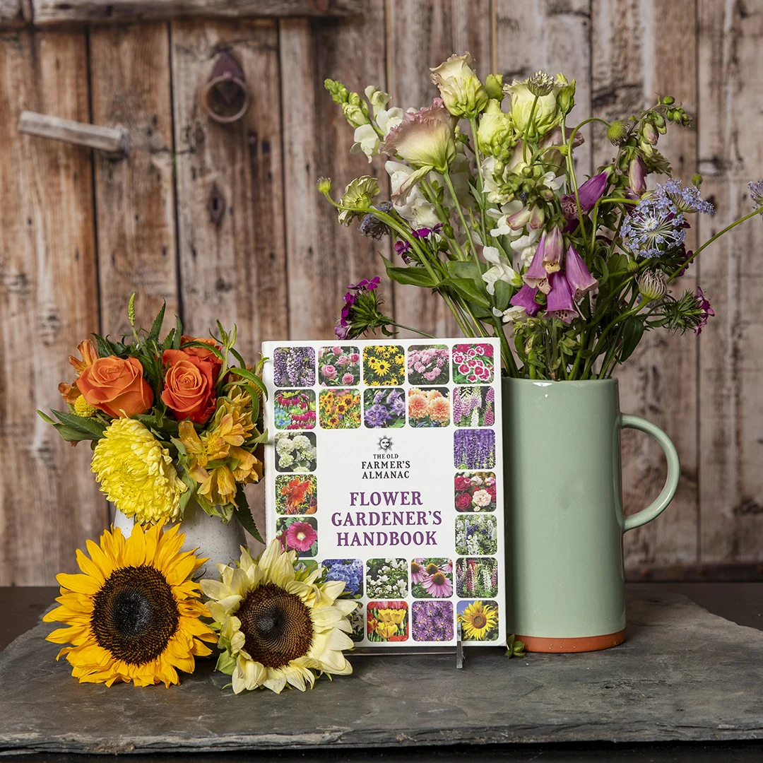 Flower Gardener’s Handbook - Image 6