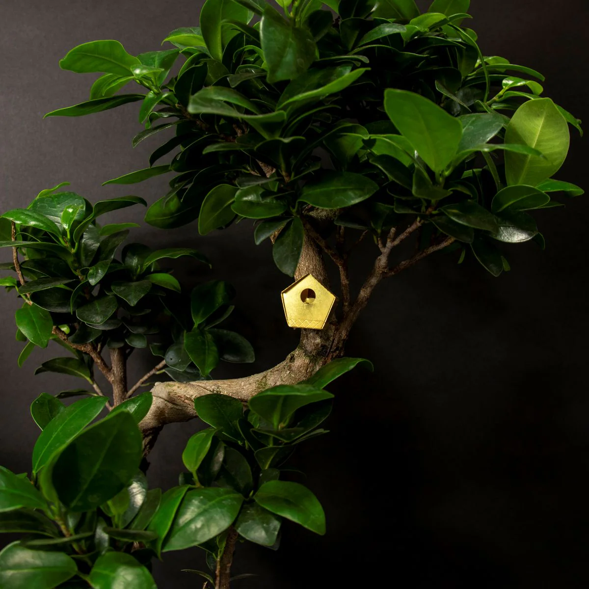Tiny Birdhouse for Your Plants - Image 3