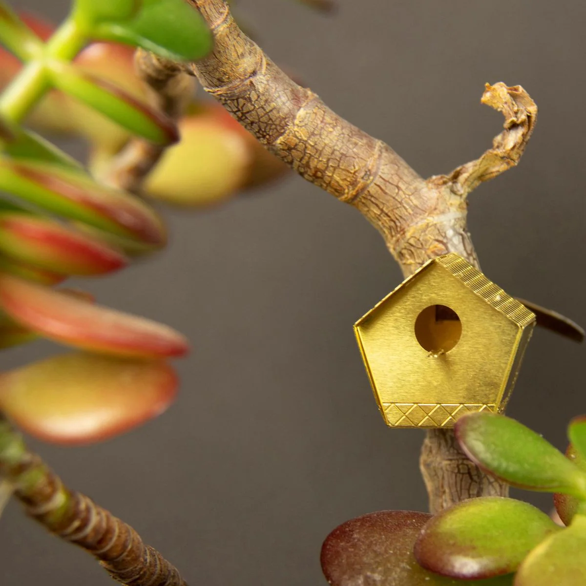Tiny Birdhouse for Your Plants - Image 4