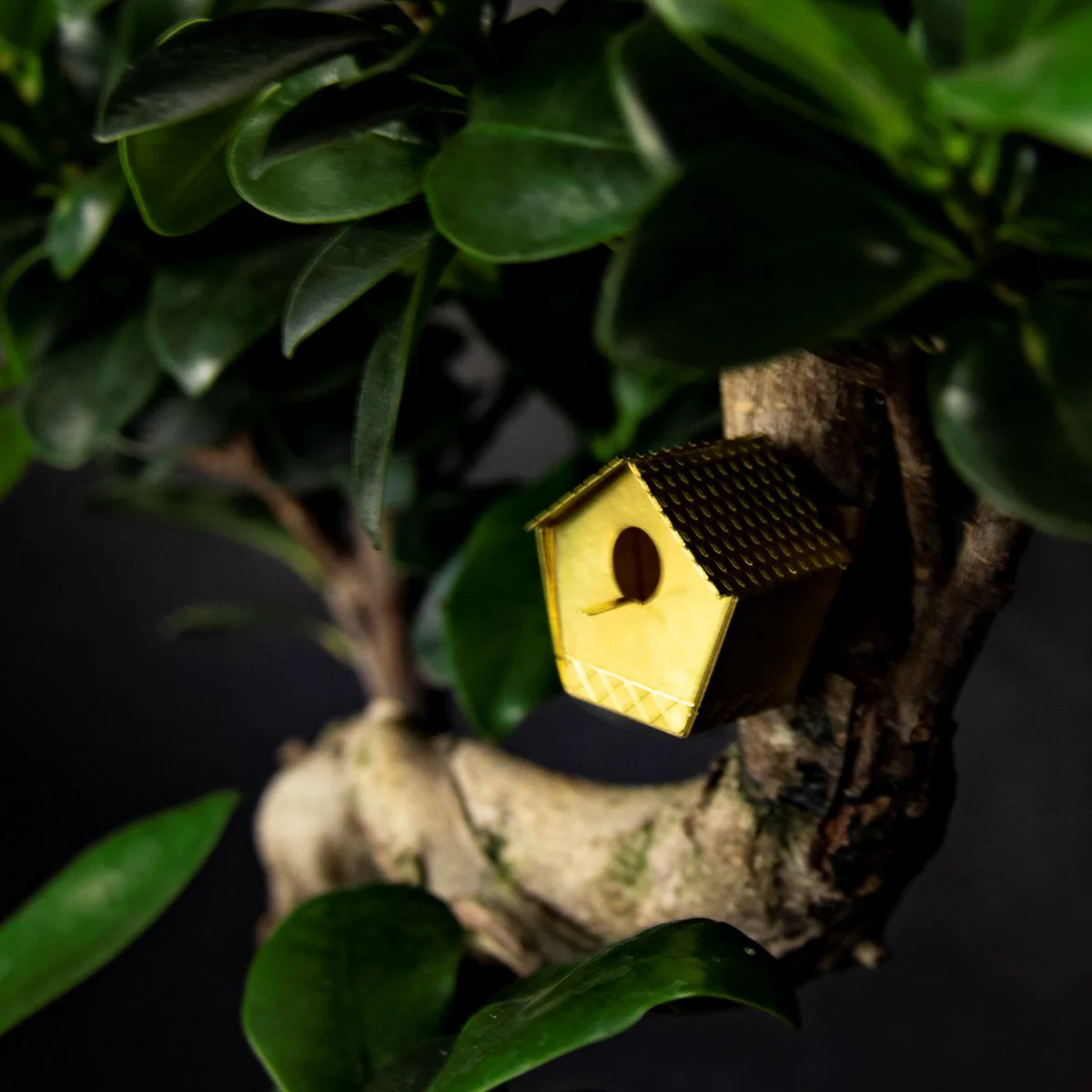 Tiny Birdhouse for Your Plants - Image 5