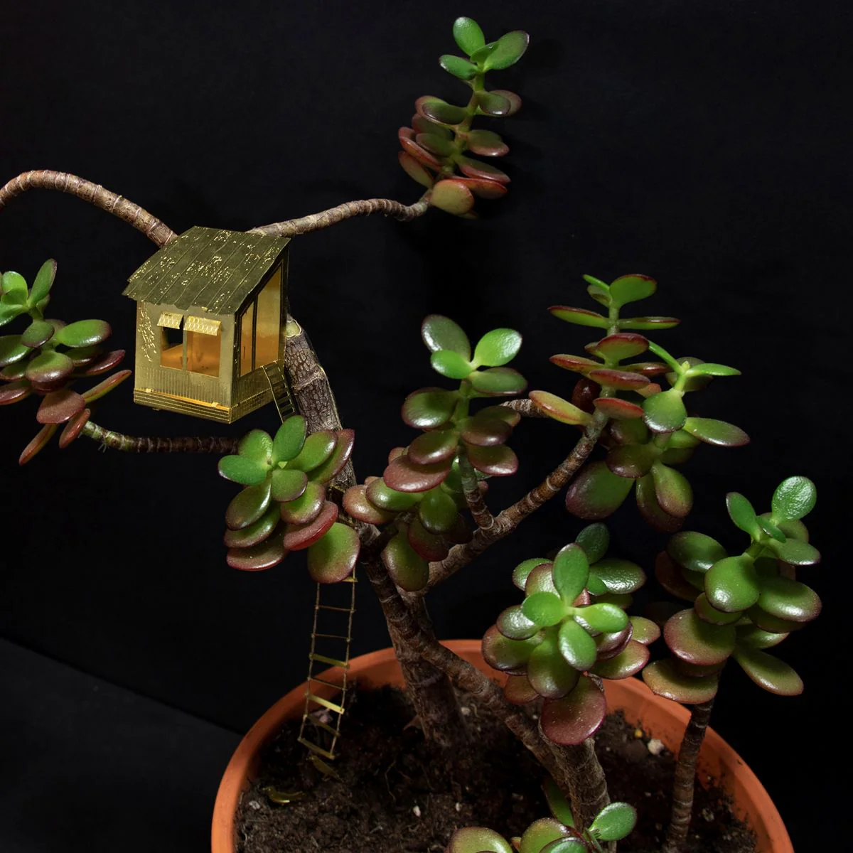 Tiny Treehouse for Your Plants - Image 8