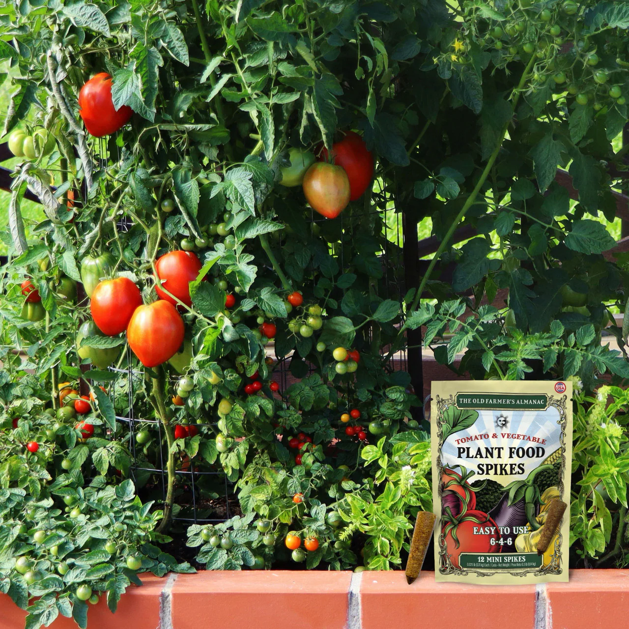 Tomato & Vegetable 6-4-6 Plant Food Spikes (12 Mini Spikes) - Image 3
