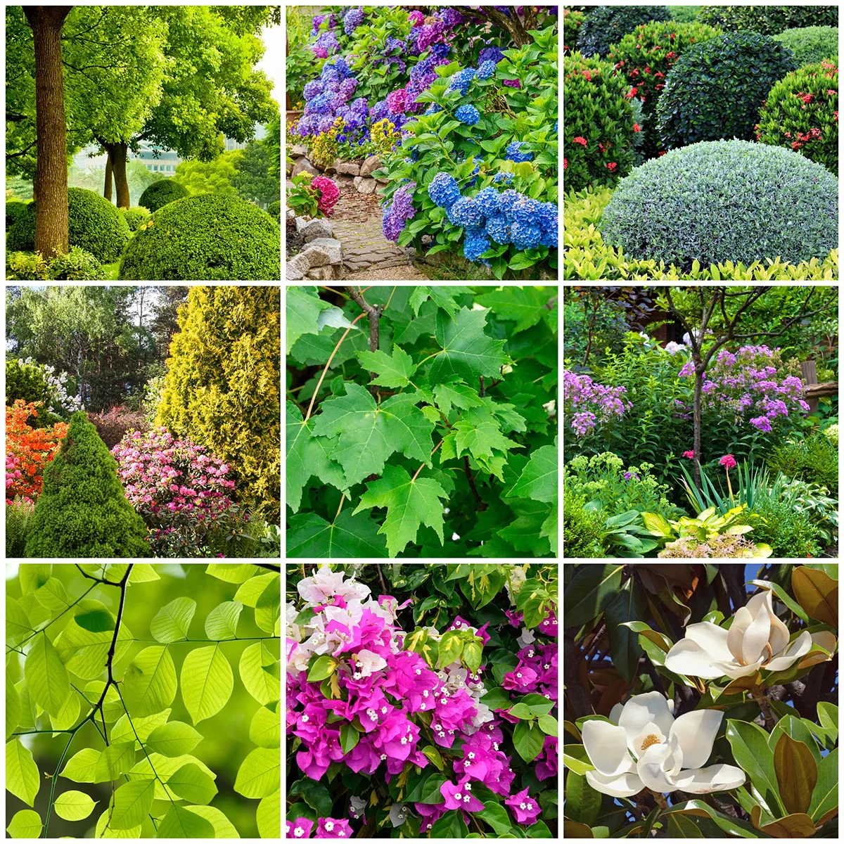 Tree & Shrub 13-3-3 Fertilizer Spikes (Box of 12 Spikes) - Image 5