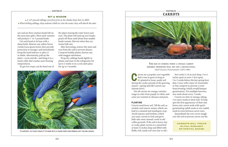 Vegetable Gardener’s Handbook - Image 15
