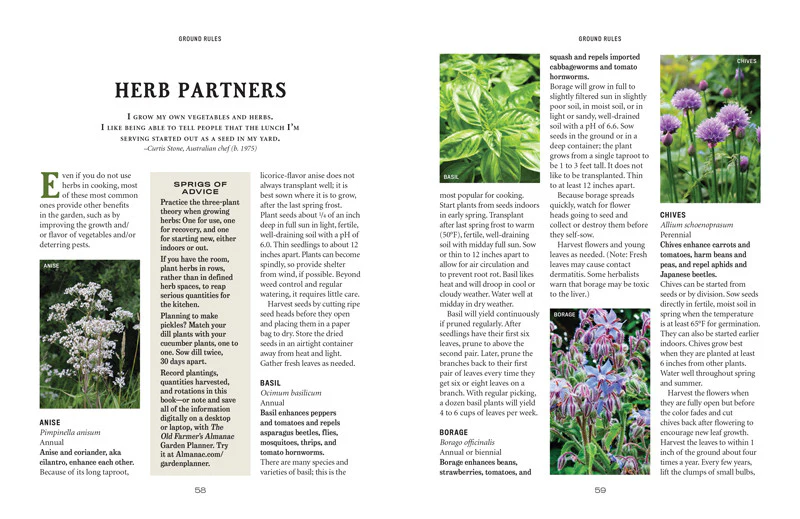 Vegetable Gardener’s Handbook - Image 16