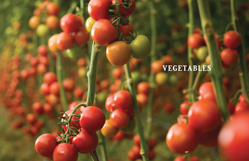 Vegetable Gardener’s Handbook - Image 8