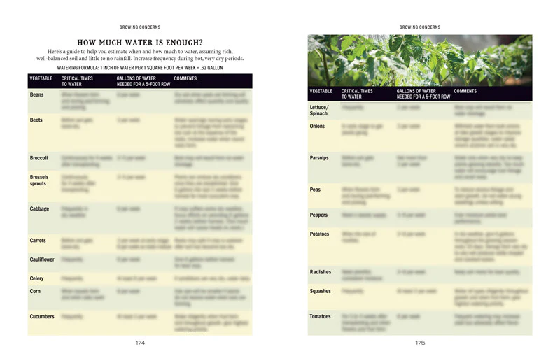 Vegetable Gardener’s Handbook - Image 9