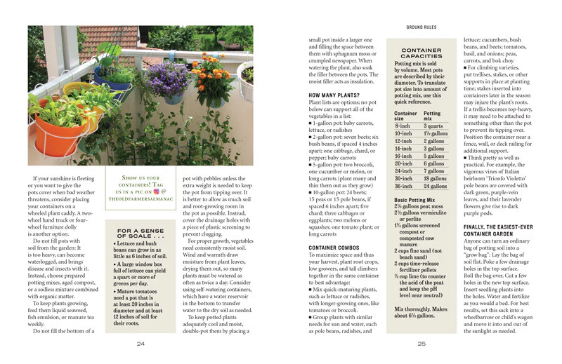 Vegetable Gardener’s Handbook - eBook - Image 12
