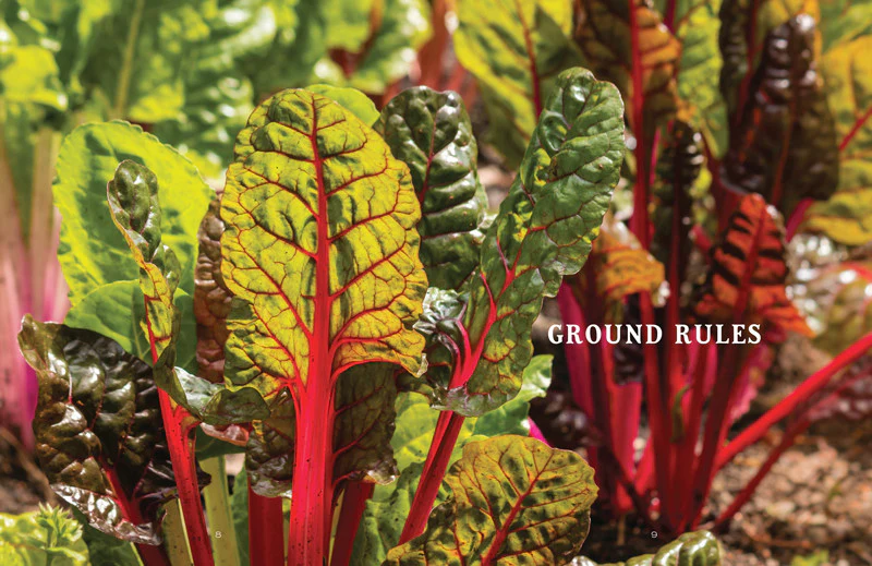 Vegetable Gardener’s Handbook - eBook - Image 7