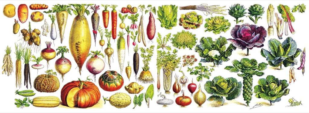 Vegetables Mug - Image 5