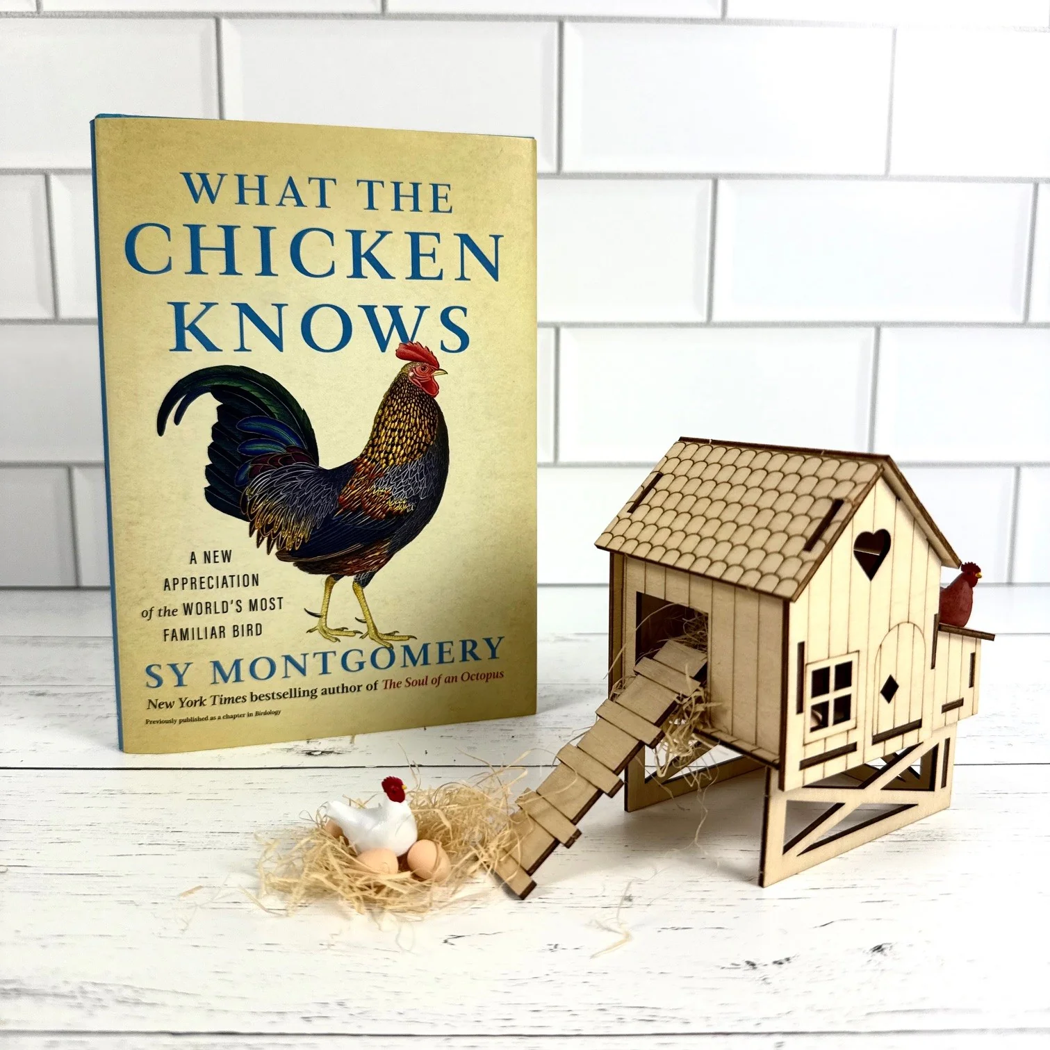 What the Chicken Knows Book & Desktop Chicken Coop