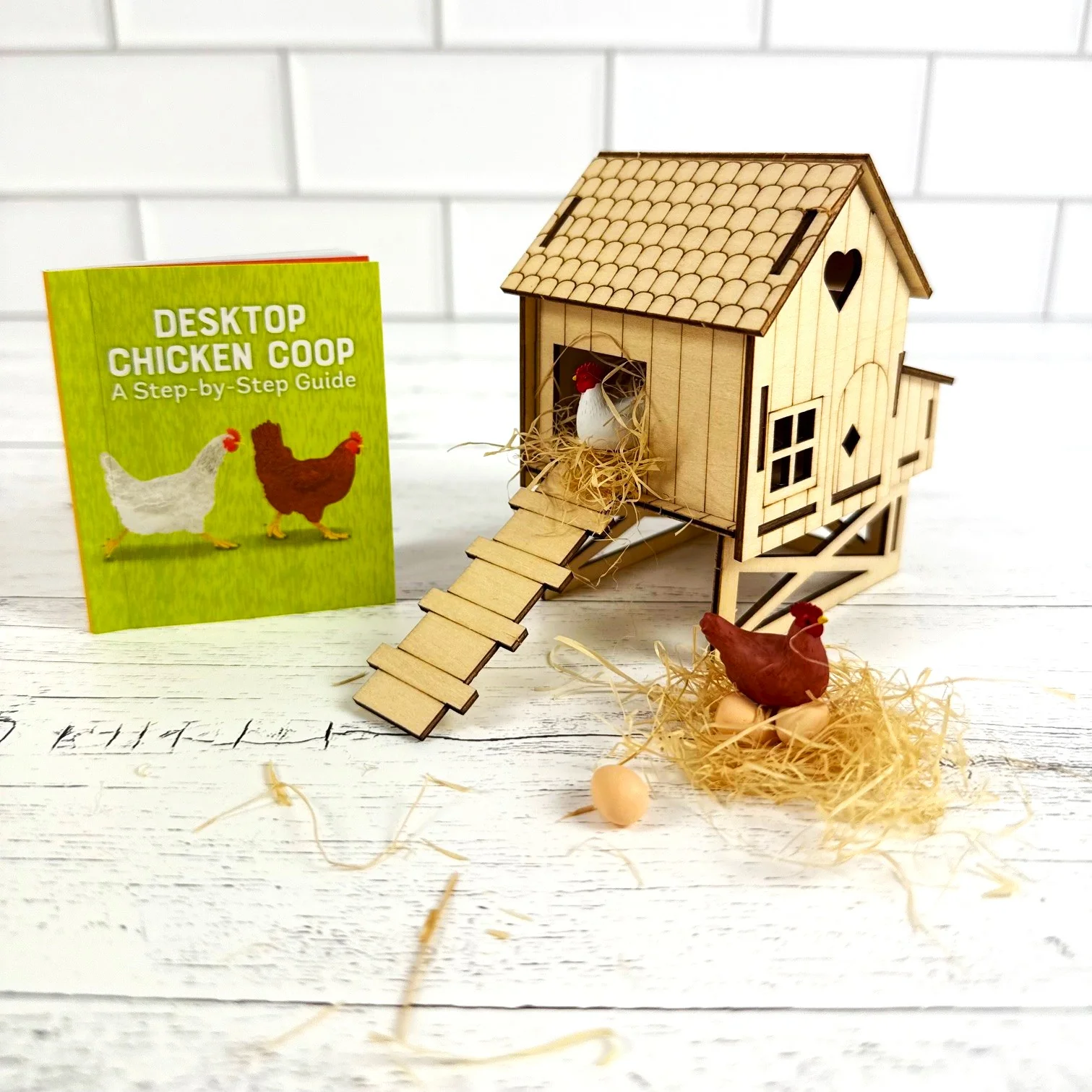 What the Chicken Knows Book & Desktop Chicken Coop - Image 2