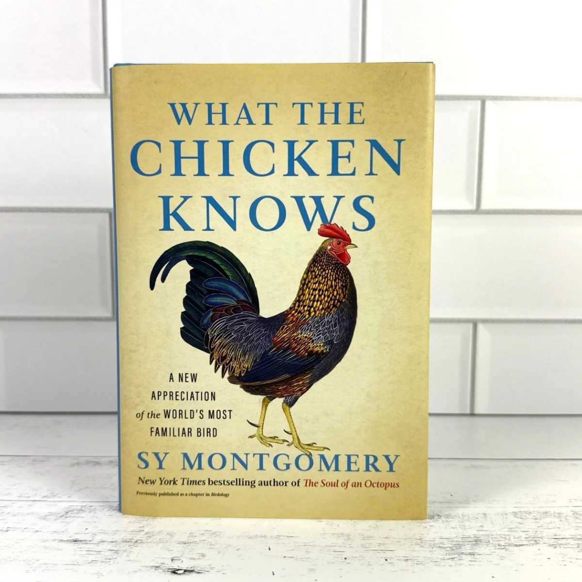What the Chicken Knows Book & Desktop Chicken Coop - Image 3
