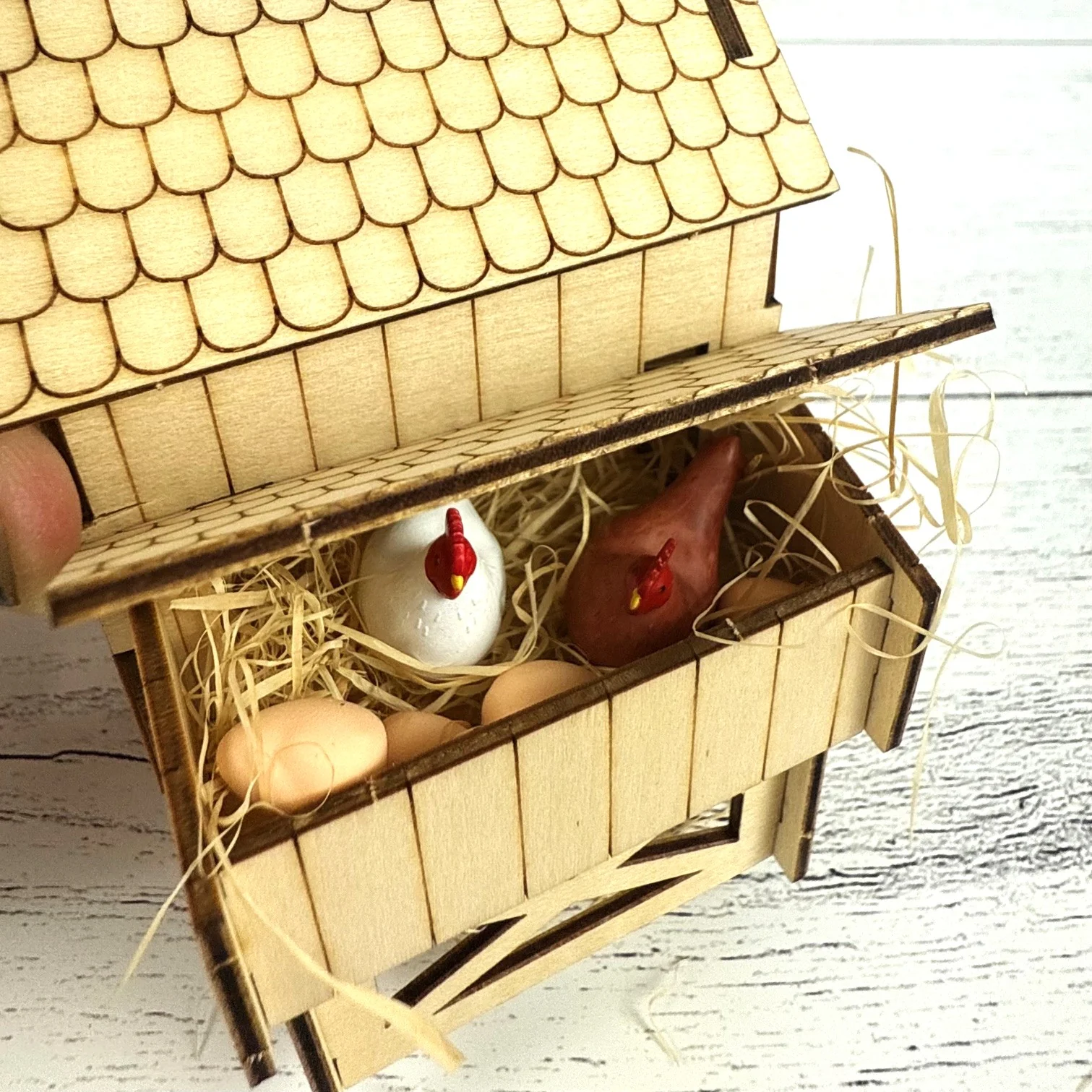 What the Chicken Knows Book & Desktop Chicken Coop - Image 4